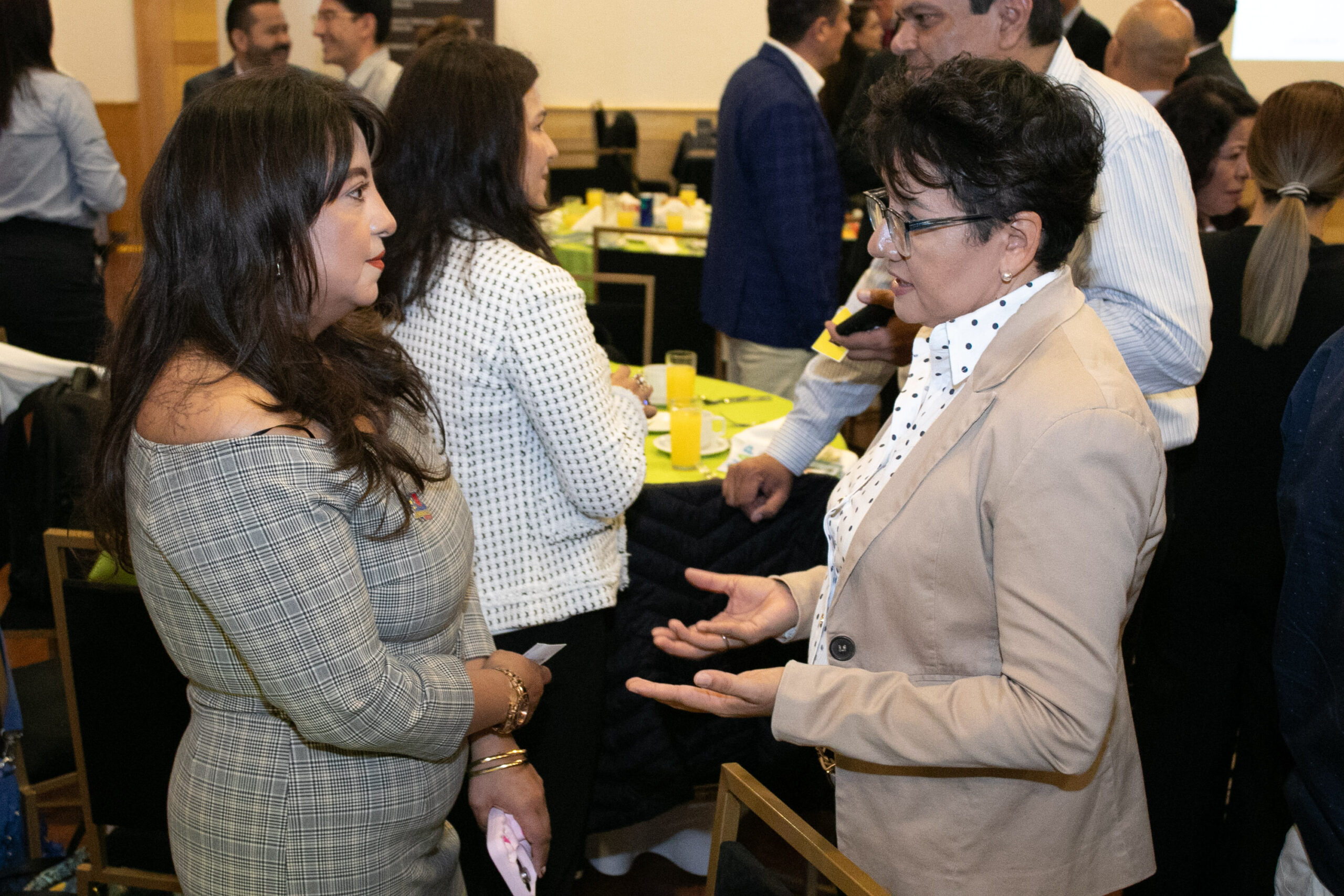 bramexcam networking